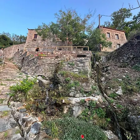 Paradisi Village